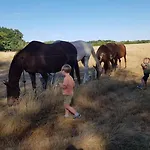 Au Gré Des Lis Villa *
