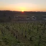 Au Gré Des Lis Belval-sous-Chatillon