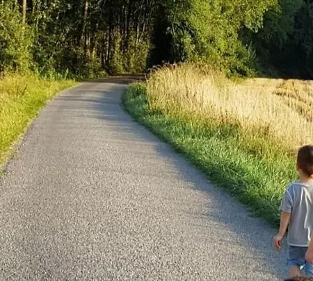 Au Gré Des Lis * Belval-sous-Chatillon
