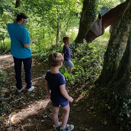 Au Gré Des Lis Villa *