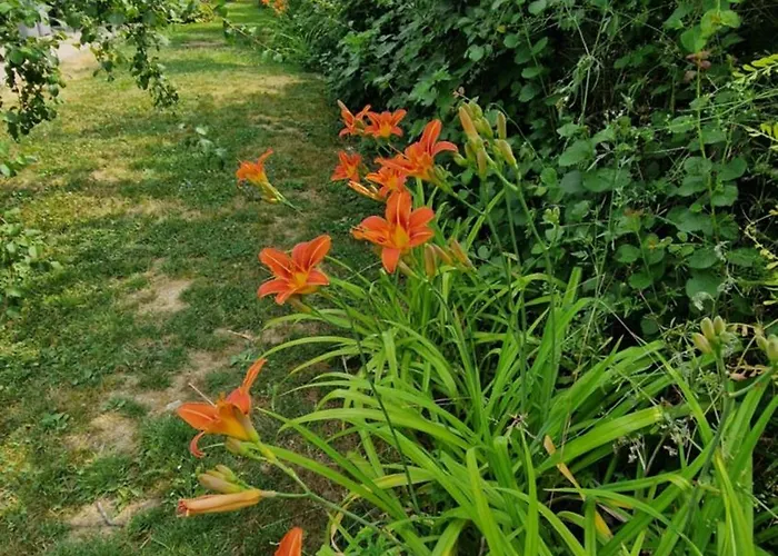 Au Gre Des Lis Villa