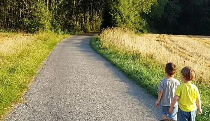 Au Gre Des Lis * Belval-sous-Chatillon