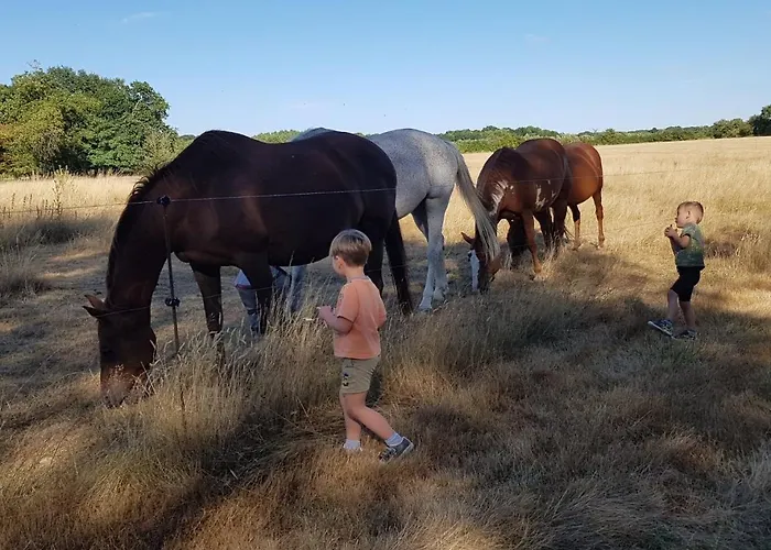 Au Gre Des Lis Villa *