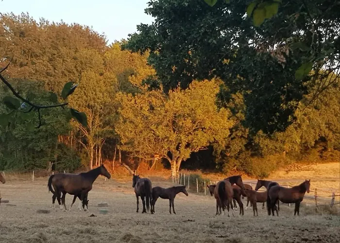 Au Gre Des Lis Villa Belval-sous-Chatillon