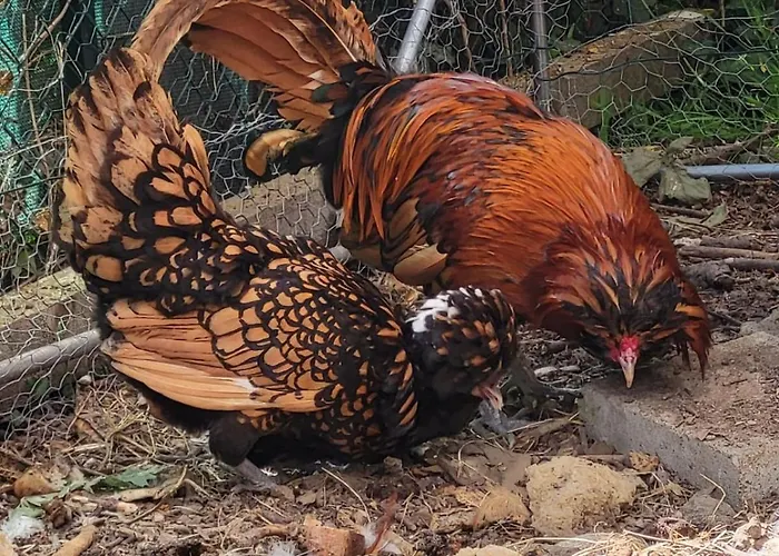 Au Gre Des Lis Villa